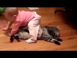 Video lucu anak kecil nangisin kucing. Video Lucu Anak Bayi Dan Kucing