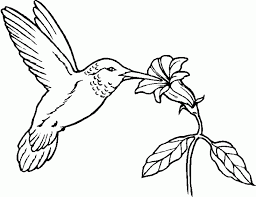 Select from 35654 printable coloring pages of cartoons, animals, nature, bible and many more. Pollinator Coloring Pages Seattle S Favorite Garden Store Since 1924 Swansons Nursery