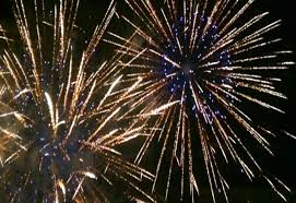 Petardele și focurile de artificii sunt nocive pentru natură în general, pentru oameni, pentru animale și îndeosebi pentru păsări. Foc De Artificii De Anul Nou In Municipiul ZalÄu Realitatea De SÄlaj