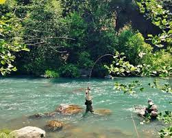 A blog about fishing reports in northern california and the bay area. 17 Best Fly Fishing Rivers In California Top Trout And Steelhead Streams Best Fishing In America
