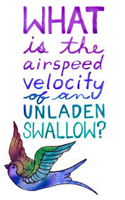 What Is The Airspeed Velocity Of An Unladen Swallow Monty Python And The Holy Grail Available On T Shirt Monty Python Python Quotes Funny Picture Quotes