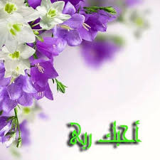 غ ر ب اء فالصالحون غرباء فى الناس والزاهدون غرباء فى الصالحين والعارفون غرباء فى الزاهديــــــن ابن القيـــــم flower frame flower backgrounds purple and white flowers