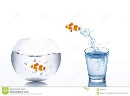 Aqui todos iram postar seus videos desafiando seus amigos ao desafio da agua com gelo ou gelada Desafio Do Negocio E Conceito Do Crescimento Escape Do Peixe Dourado Da Agua No Vidro Que Salta Ao Fishbowl Ilustracao Stock Ilustracao De Livre Pulo 96934018