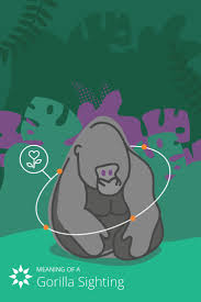 Camels only have one or 2 humps depending on the kind of camel but if it is pregnate it's belly would bump out creating a 3 humped camel. Meaning Of A Gorilla Sighting Great Ape Spirit Animal Gorilla