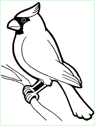 We did not find results for: 202 Sketsa Gambar Burung Lengkap Paling Unik Menarik Sindunesia