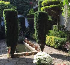 Some evergreen flowering shrubs also produce colorful berries in fall. Trees For Small Gardens Deciduous Evergreen Topiary Choices