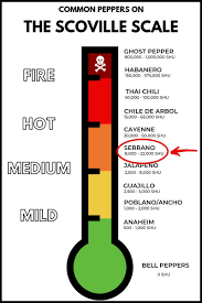 Ceviche is a dish that hails from central and south america, made from seafood marinated in citrus juices and then spiced up with various forms of peppers. Serrano Peppers 101 Isabel Eats