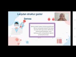 Aplikasi stia malang merupakan salah satu media yang dapat digunakan sebagai sarana komunikasi dan informasi antara stia malang dengan mahasiswa. 0b45zjuwq8aflm