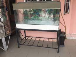 I did see lot's people using double 36w pll on 2 feet tank. Fish Tank 4 Feet With Canister Filter Home Furniture Gardening On Carousell