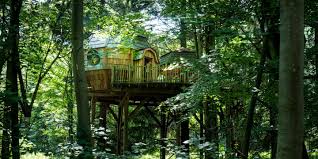 Called châteaux dans les arbres, which must translate to something like castles of untrammeled woodland whimsy (note: Des Nuitees Perchees Dans Les Arbres