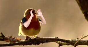Birds With Human Arms Youtube Https Encrypted Tbn0 Gstatic Com Images Q Tbn 3aand9gcr Gu68c1 D28snjvi76curp2nbnqxim0zpqg Usqp Cau
