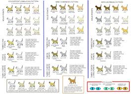 Colour And Pattern Charts