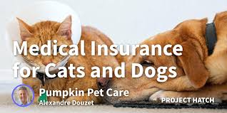 Prudent pet insurance offers accident & illness plans or accident only plans, with the ability to pick a price that works best for your budget. How I Founded A Successful Pet Insurance Company