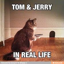 Hahahaha Funny Animals Animals Duke Blue Devils