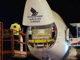 Please correct the errors below. Travel Pass Et Transport De Vaccin Pour Singapore Airlines Air Journal