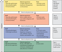 In addition to providing the top primary care doctors close to me in the freeport and franklin square, ny area, we. Improving Pathology And Laboratory Medicine In Low Income And Middle Income Countries Roadmap To Solutions The Lancet