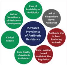 Antibiotic resistance is a major concern as microbes can rapidly develop resistance when antibiotics are not used appropriately. Global Contributors To Antibiotic Resistance Chokshi A Sifri Z Cennimo D Horng H J Global Infect Dis