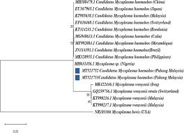 Sep 28, 2020 · demikian informasi lengkap tentang cara mengisi formulir kjp plus 2020 lengkap dengan cara pendaftaran dan persyaratan yang dibutuhkan. Molecular Detection Of Theileria Species Anaplasma Species Candidatus Mycoplasma Haemobos Trypanosoma Evansi And First Evidence Of Theileria Sinensis Associated Bovine Anaemia In Crossbred Kedah Kelantan X Brahman Cattle Bmc Veterinary Research Full