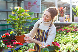 Maybe you would like to learn more about one of these? The 10 Best Garden Centers And Nurseries In Montana