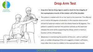 Image result for Neer Test