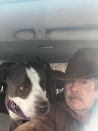 Dark caravan with rescue decals and stickers