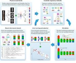 Planarian Regeneration Model Discovered By Artificial Intelligence Artificial Intelligence Algorithms Artificial Intelligence Technology Machine Learning Artificial Intelligence