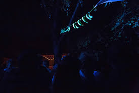 This is the escape of eliza live@haus mainusch, mainz 06.08.10 by the escape of eliza on vimeo, the home for high quality videos and the people who love… Mach Mal Langsam Haus Mainusch Mainz Oriental Tropical