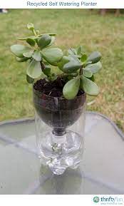 Recycled Self Watering Container For Indoor Plants Self Watering Plants Self Watering Containers Self Watering Planter