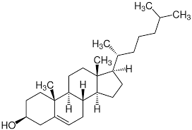 Die richtige ernährung um das cholesterin zu senken. Cholesterin Wikipedia