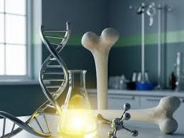 Image result for Green 1990 Houston Light and Power