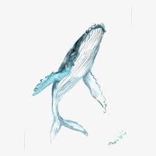 A gigantic whale hiding under the huge sail ship. Blue Watercolor Whale Humpback Painting Drawing Clipart Blue Whale Tattoo Design Png Image Transparent Png Free Download On Seekpng