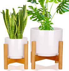 With wooden feet and a ceramic pot, it aims to. Hfhome Set Of 2 Mid Century Modern Ceramic Plant Stand With 18cm 12cm Diameter Plant Pots Indoor Round White Standing Planters With Drainage And Plug Outdoor White Garden Cactus Planters Amazon Co Uk