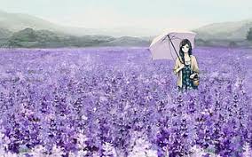 Download them and make your cultural projects stand out with the large amount of graphic resources included. Lavender Field Pretty Umbrella Lavender Sweet Blossom Nice Anime Anime Girl Hd Wallpaper Peakpx