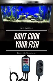Why Use An Aquarium Temperature Controller Aquarium Temperature Controllers Aquarium Temperature Control