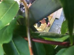 Feuchtigkeitssperren Aus Gummigranulat Da Damit Die Konstruktion Und Somit Auch Ihr Haus Vor Feuchtigkeit Saunahaus Garten Sauna Selbst Bauen Sauna