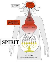 Apostolic Journals Who Are The 7 Spirits Of God Bible Knowledge Bible Study Scripture Bible Study Help