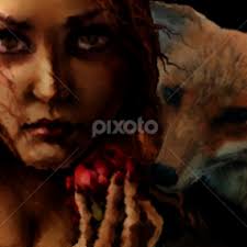 Lance Brookins's Profile