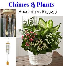 Angel figurines are among the most classic gifts to give in memory of a loved one's passing. Planter With Wind Chime Keepsake Blue Iris