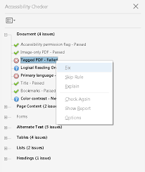 To run validation, upload an image and click on it to select two colors being compared. Using The Acrobat Pro Dc Accessibility Checker