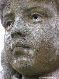 Martha Ellis's Instagram, Twitter & Facebook