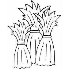 Free printable corn coloring pages. Three Cornstalks Coloring Page Coloring Pages Thanksgiving Coloring Pages Fall Arts And Crafts