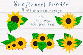 Download Sunflower Bundle Sunflower Sublimation Design Sunflower Svg Deeezy