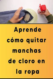 Elsa Vilchis (elsavilchis57)