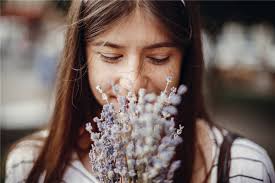 Everyone gets the occasional stuffy or runny nose. Can The Flu Permanently Damage Your Sense Of Smell Raleigh Capitol Ear Nose Throat