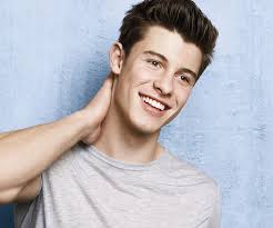 3 Reasons Why a Musical Featuring Shawn Mendes' Songs Is a Great Idea