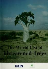 Image result for Dialium holtzii