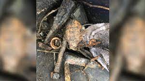 We did not find results for: Grenade Ends Up At Taco Bell After Florida Fisherman Discovers It Cnn