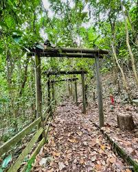 Bukit batok nature park walking trail · directions: Cheekiemonkies Singapore Parenting Lifestyle Blog Locating And Hiking To The Abandoned Bukit Batok Hillside Park Cheekie Monkies