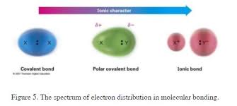 For example h2o has two hydrogens that are paired to one oxygen, however, the oxygen has a remaining 4 electrons that are unpaired with anything. Is Ch4 Polar Or Nonpolar Techiescientist
