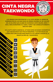 Cinta Negra En Tkd Cinta Negra Taekwondo Ira